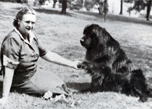 seaward newfoundlands