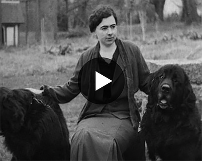 Short Video from Pathé of Mrs. Powers and some of her Newfoundlands
